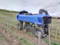 Un robot dans les vignes