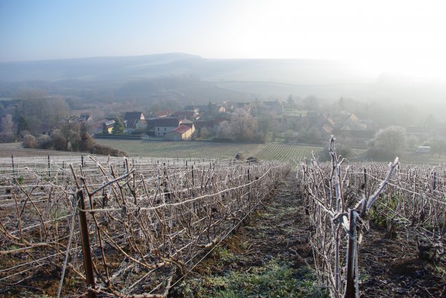 Champagne Emilien FRESNE - The village of Cuisles