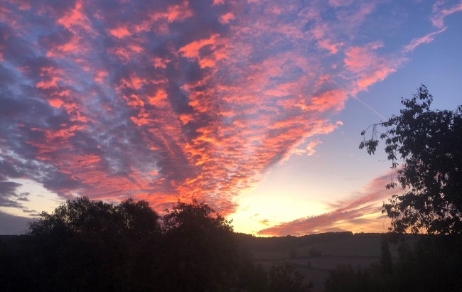 Champagne Emilien FRESNE - Un coucher de soleil en Champagne